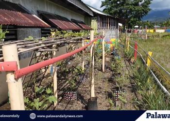 Isang magnanakaw, nilooban ang bahay ng negosyante; arestado sa Bgy. Bancao-Bancao, PPC