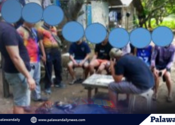 Mga Munisipyo sa Palawan, nakatanggap ng tig-iisang bagong Patient Transport Vehicle Unit mula sa PCSO