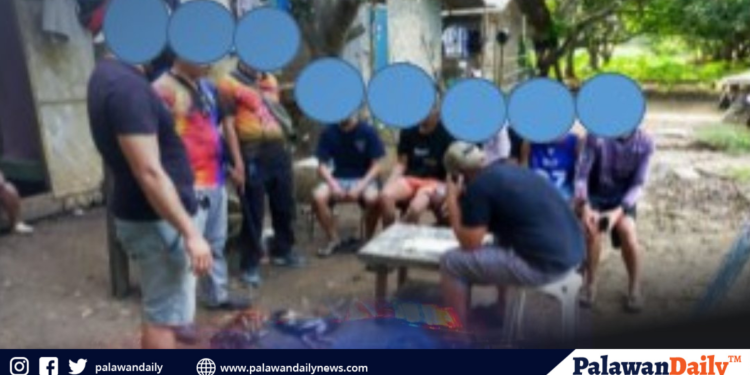 Mga Munisipyo sa Palawan, nakatanggap ng tig-iisang bagong Patient Transport Vehicle Unit mula sa PCSO