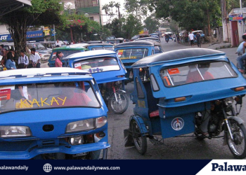 Habagat drenches Palawan as PAGASA tracks three weather system