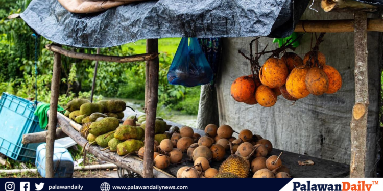 Doulos Hope, nakatakdang bumalik muli sa lungsud sa agosto