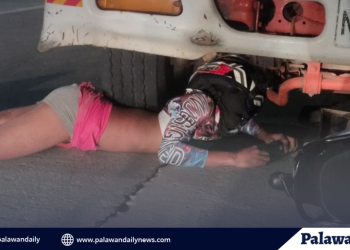 Mt. Mantalingahan marks 16th year as protected landscape with community-led forest celebration