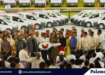 Mga Munisipyo sa Palawan, nakatanggap ng tig-iisang bagong Patient Transport Vehicle Unit mula sa PCSO
