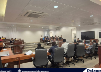 Decades of coral growth lost in minutes to Chinese anchor