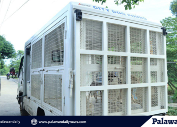 Mt. Mantalingahan marks 16th year as protected landscape with community-led forest celebration