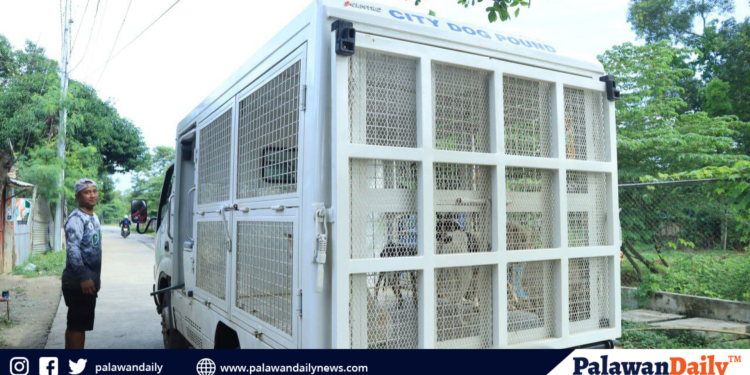 Mt. Mantalingahan marks 16th year as protected landscape with community-led forest celebration