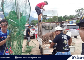 Cebu initiates ‘Mayor of the Night’ to cater night-shift workers