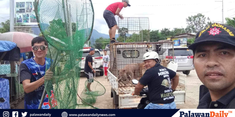 Cebu initiates ‘Mayor of the Night’ to cater night-shift workers