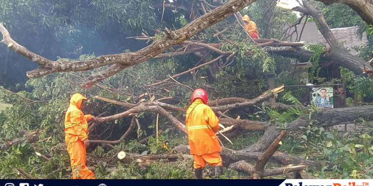 Decades of coral growth lost in minutes to Chinese anchor