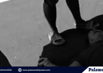 Mt. Mantalingahan marks 16th year as protected landscape with community-led forest celebration