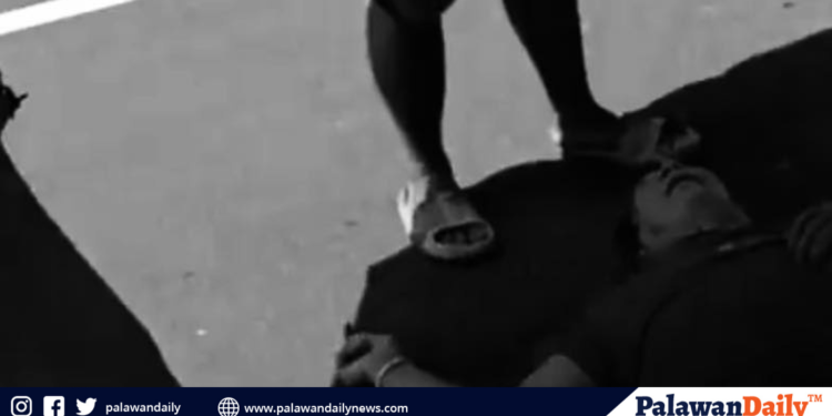 Mt. Mantalingahan marks 16th year as protected landscape with community-led forest celebration