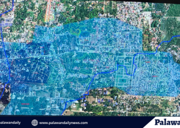 Mga Munisipyo sa Palawan, nakatanggap ng tig-iisang bagong Patient Transport Vehicle Unit mula sa PCSO
