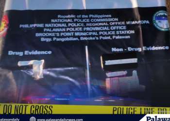 63-anyos, patay sa aksidente sa bayan ng Roxas