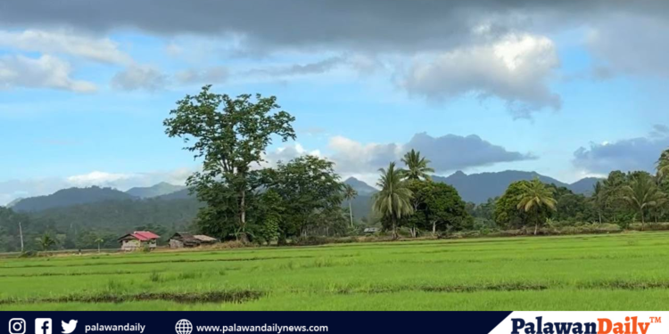 Habagat drenches Palawan as PAGASA tracks three weather system