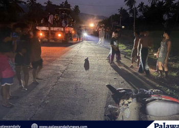 32 benepisyaryo, nabiyayaan ng libreng saklay at wheelchair sa ilalim ng Proyektong ‘Gulong ng Pag-asa project’ sa Roxas