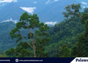 Mt. Mantalingahan marks 16th year as protected landscape with community-led forest celebration