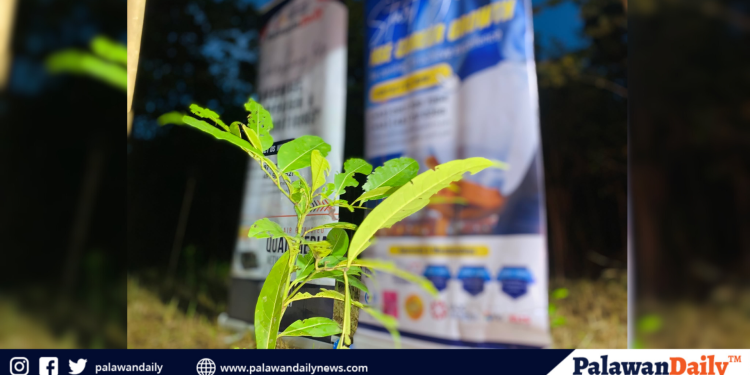 PDN and Petrosphere join Pista Y’ Ang Cagueban held at Brgy. Montible, PPC