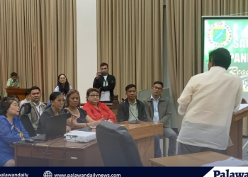 Mga kinatawan ng DepEd Palawan, humarap sa Provincial Board Members; BM Maminta, dismayado sa sagot ng ilang opisyal