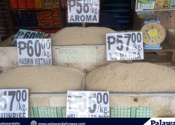 The P20 rice program has yet to reach Palawan