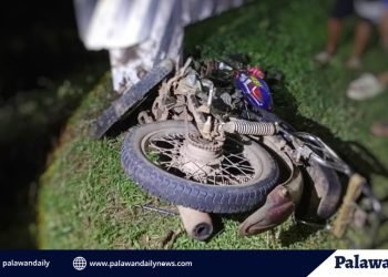 Motoristang galing sa inuman, patay matapos maaksidente sa Brgy. Ipilan