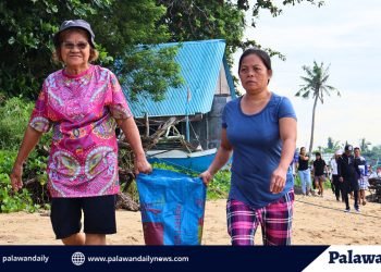 Roxas folks clean coastline on National Heroes Day
