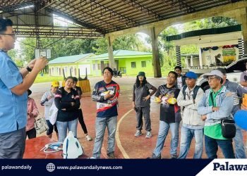 Provincial Veterinary Office trains 16 barangay aides in Brooke’s Point