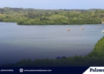 Luzviminda proposes wharf for their coastal village