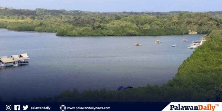 Luzviminda proposes wharf for their coastal village