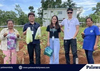 TUPAD beneficiaries in Macarascas profit from vegetable production