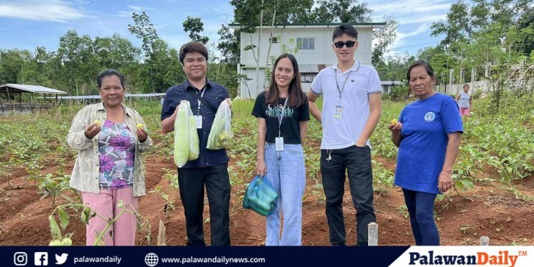 TUPAD beneficiaries in Macarascas profit from vegetable production