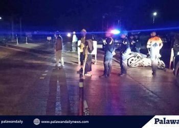 Menor de edad na motorista, nasawi matapos maaksidente sa bayan ng Brooke’s Point; biktima, nasagasaan pa ng kapwa motorista