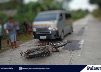 Menor de edad, patay matapos makasalpukan ang isang van sa Aborlan
