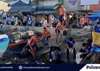 Coastal cleanup sparks renewed call for collaboration