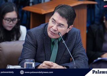 Senator Tulfo lambasts DENR for alleged maltreatment of Palawan’s Indigenous people