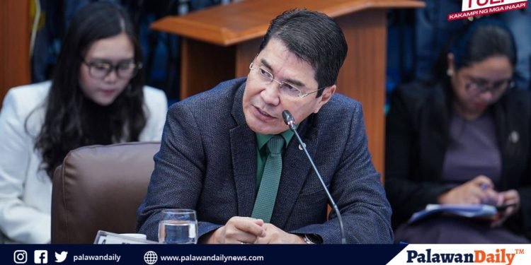 Senator Tulfo lambasts DENR for alleged maltreatment of Palawan’s Indigenous people
