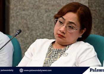 Discaya denies kickbacks, admits to 28 luxury cars at Senate hearing