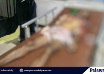 Explosive fishing device called ‘Bongbong’ kills fisherman in Rizal, Palawan
