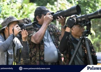 Puerto Princesa prepares for 8th International Bird Photography Race