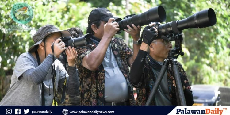 Puerto Princesa prepares for 8th International Bird Photography Race