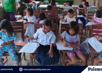 Puerto Princesa pushes for student’s assistance program