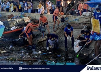 Puerto Princesa strengthens marine plastic reduction efforts with foreign partners