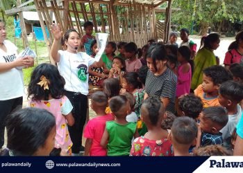 Conservation group holds campaign to protect Palawan Bearcat