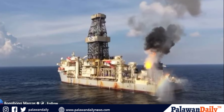 New gas field discovered in Malampaya