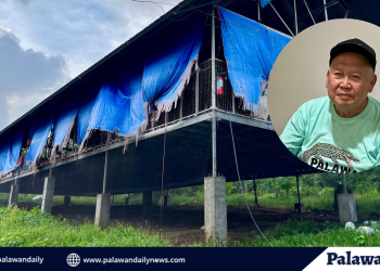 May-ari ng Jomari Poultry Farm na si Jose Pe sa mga nagrereklamo: ‘We will fight this in court’