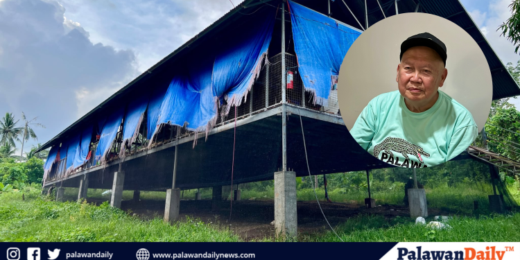 May-ari ng Jomari Poultry Farm na si Jose Pe sa mga nagrereklamo: ‘We will fight this in court’