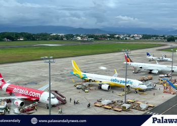 Pagpapahaba ng runway ng Puerto Princesa International Airport, suportado ng manager ng CAAP Area IV