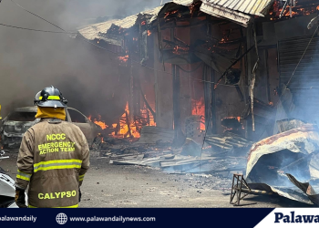 Puerto Princesa City Old Public Market, nasunog