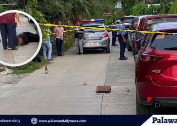 Babaeng naglalakad patungong simbahan, patay sa pamamaril sa Puerto Princesa