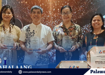 DOLE recognizes Puerto Princesa as Best Public Employment Service Office (PESO)