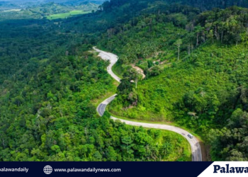 Gov’t greening programs plants 130,000 jackfruit in Rizal, Palawan